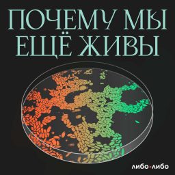 Artwork for Почему мы еще живы