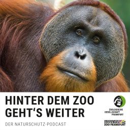 Artwork for Hinter dem Zoo geht's weiter - Der Naturschutzpodcast aus Frankfurt