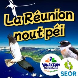 Artwork for Podcast SEOR - La Réunion nout péi