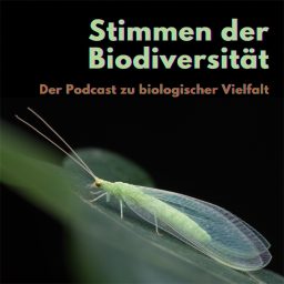 Artwork for Stimmen der Biodiversität - Der Podcast zu biologischer Vielfalt