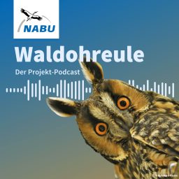 Artwork for Waldohreule - NABU Projekt-Podcast