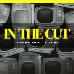Artwork for In The Cut Podcast