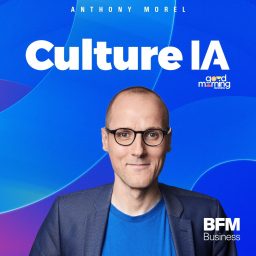 Artwork for Culture IA