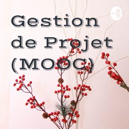 Artwork for Gestion de Projet (MOOC)