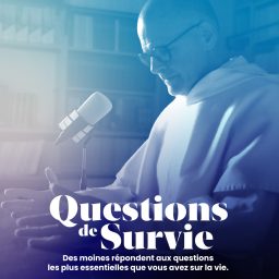 Artwork for Questions de Survie