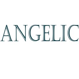 Artwork for The angelicshirt’s Podcast