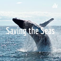Artwork for Saving the Seas