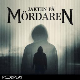 Artwork for Jakten på mördaren