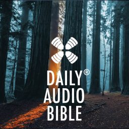 Artwork for 1 Year Daily Audio Bible