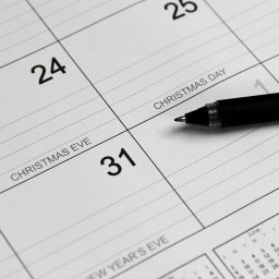 Artwork for Your Daily Holiday Briefing