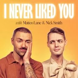 Artwork for I Never Liked You