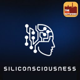 Artwork for DSR's Siliconsciousness