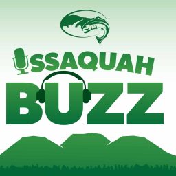 Artwork for Issaquah Buzz
