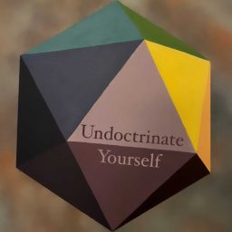Artwork for Undoctrinate Yourself