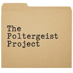 Artwork for The Poltergeist Project