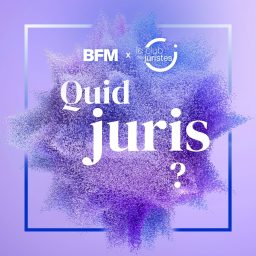 Artwork for Quid Juris ?