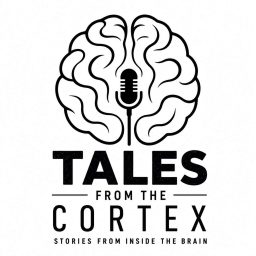 Artwork for Tales From The Cortex