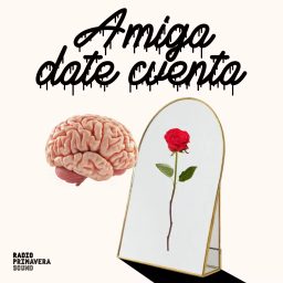 Artwork for Amiga Date Cuenta