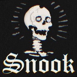 Artwork for Snook