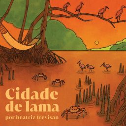 Artwork for Cidade de Lama
