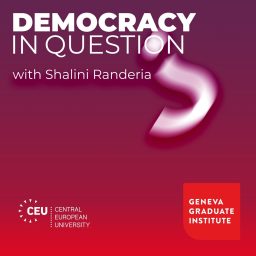 Artwork for Democracy in Question?