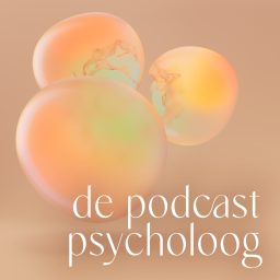 Artwork for De Podcast Psycholoog