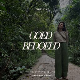 Artwork for Goed Bedoeld