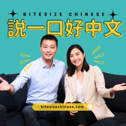 Artwork for Bitesize Chinese 一口中文