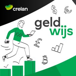 Artwork for Geldwijs