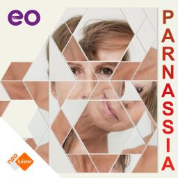Artwork for Parnassia
