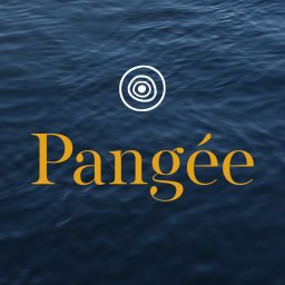 Artwork for Pangée