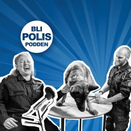 Artwork for Bli polis-podden