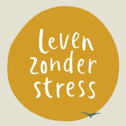 Artwork for Leven Zonder Stress
