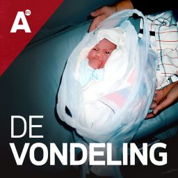 Artwork for De Vondeling