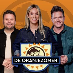Artwork for De Oranjezomer