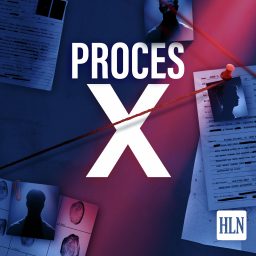 Artwork for Proces X
