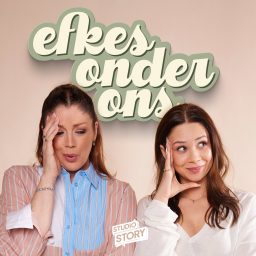 Artwork for Efkes onder ons