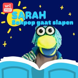 Artwork for Sokpop gaat slapen