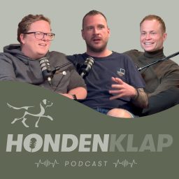 Artwork for Hondenklap