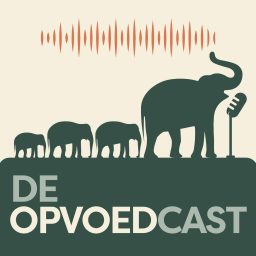 Artwork for De Opvoedcast