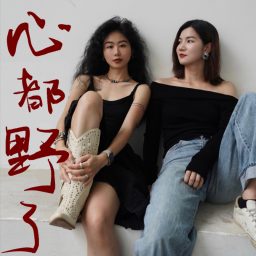Artwork for 心都野了Heartbeast