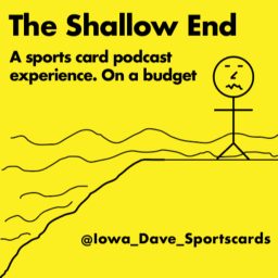 Artwork for The Shallow End