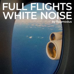 Artwork for FULL FLIGHTS - WHITE NOISE