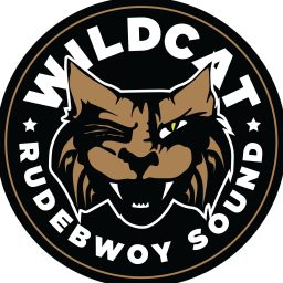 Artwork for Wildcat Sound Mixes