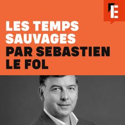 Artwork for Les temps sauvages