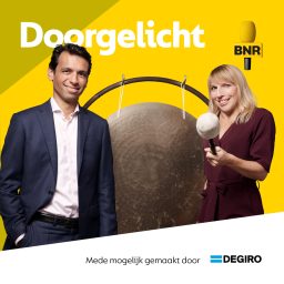 Artwork for Doorgelicht | BNR