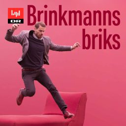 Artwork for Brinkmanns briks