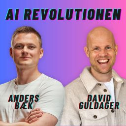 Artwork for AI Revolutionen