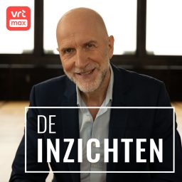 Artwork for De inzichten