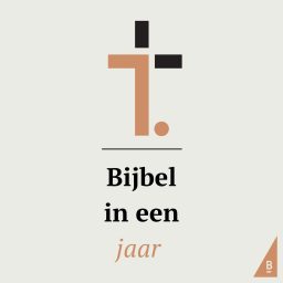 Artwork for Bijbel in een jaar